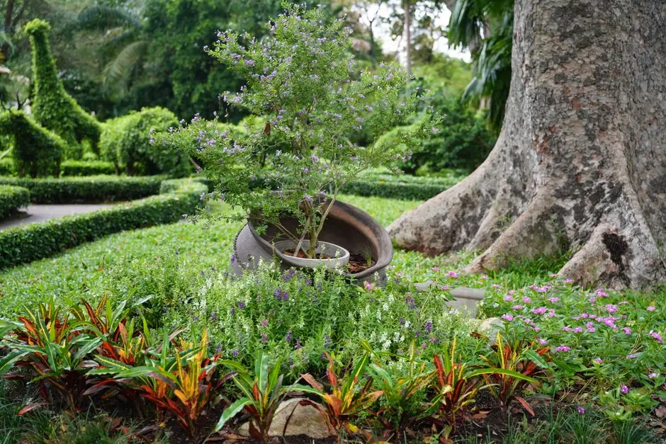 Greens & Outdoors at RAYMOND TEN X HABITAT, Pokhran Road No. 2, Thane West, Thane