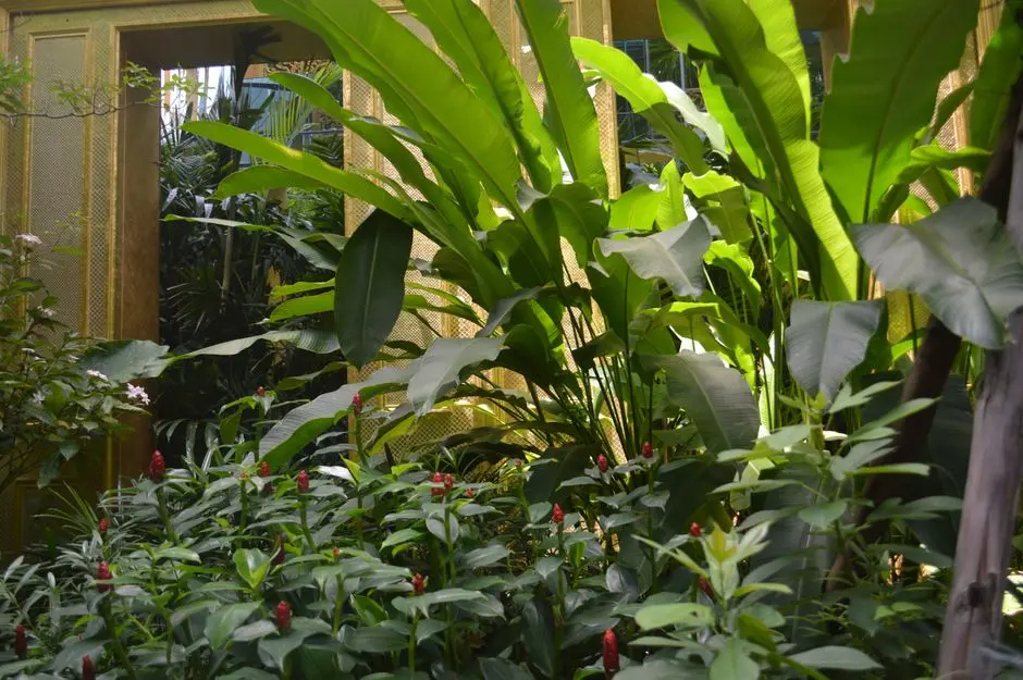 Greens & Outdoors at RAYMOND BHANDUP, Mumbai
