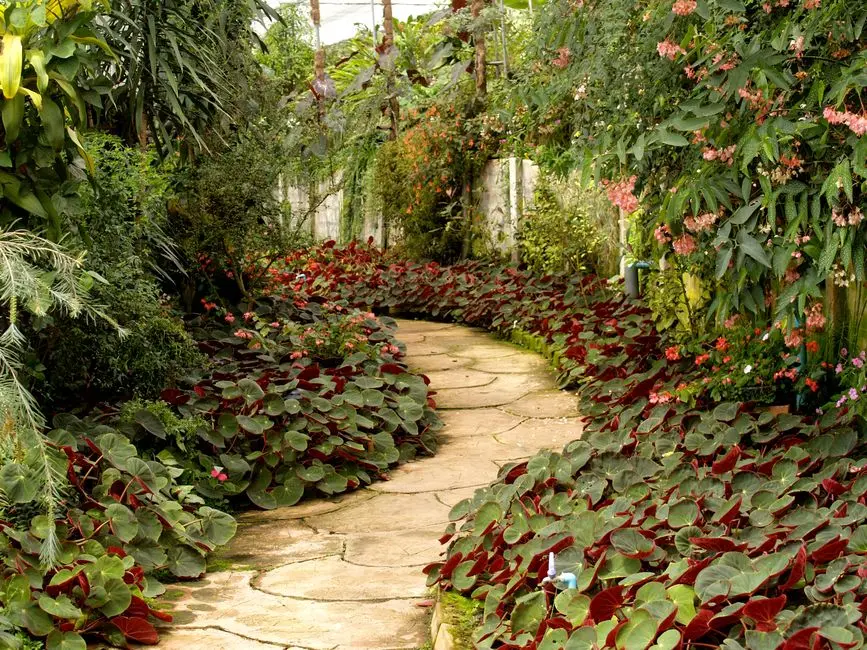 Greens & Outdoors at RAYMOND PAREL JDA PROJECT, Mumbai