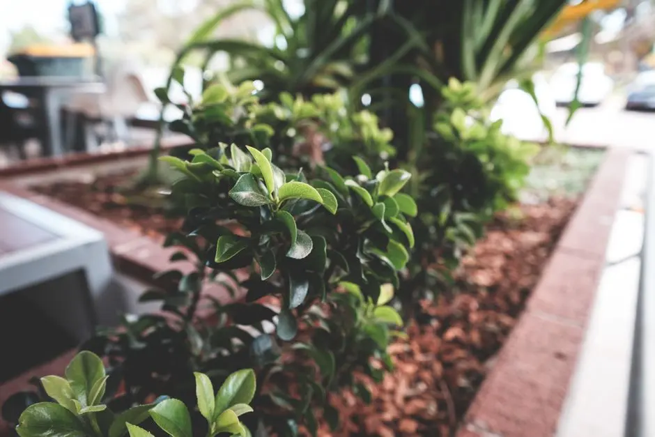 Greens & Outdoors at RAYMOND THE CROWN, Wadala, Mumbai