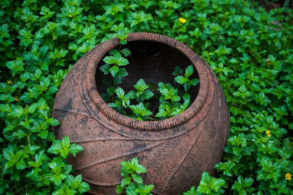 Greens & Outdoors at RAYMOND TEN X VIBES, J K Gram, Thane