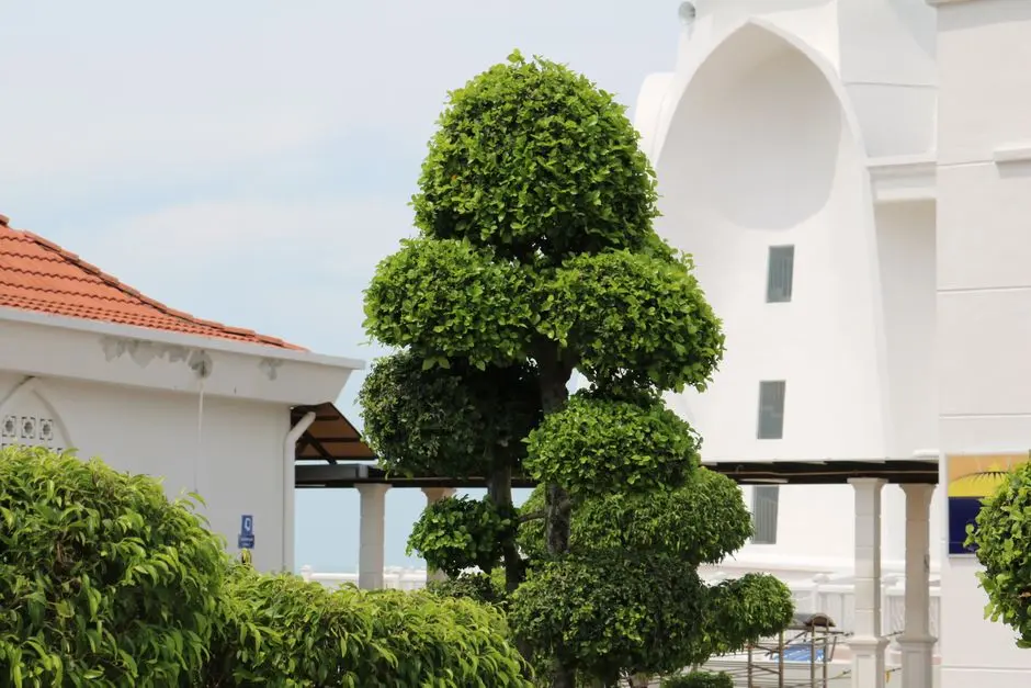 Greens & Outdoors at RAYMOND MIG BANDRA (MIG VI), Bandra East, Mumbai