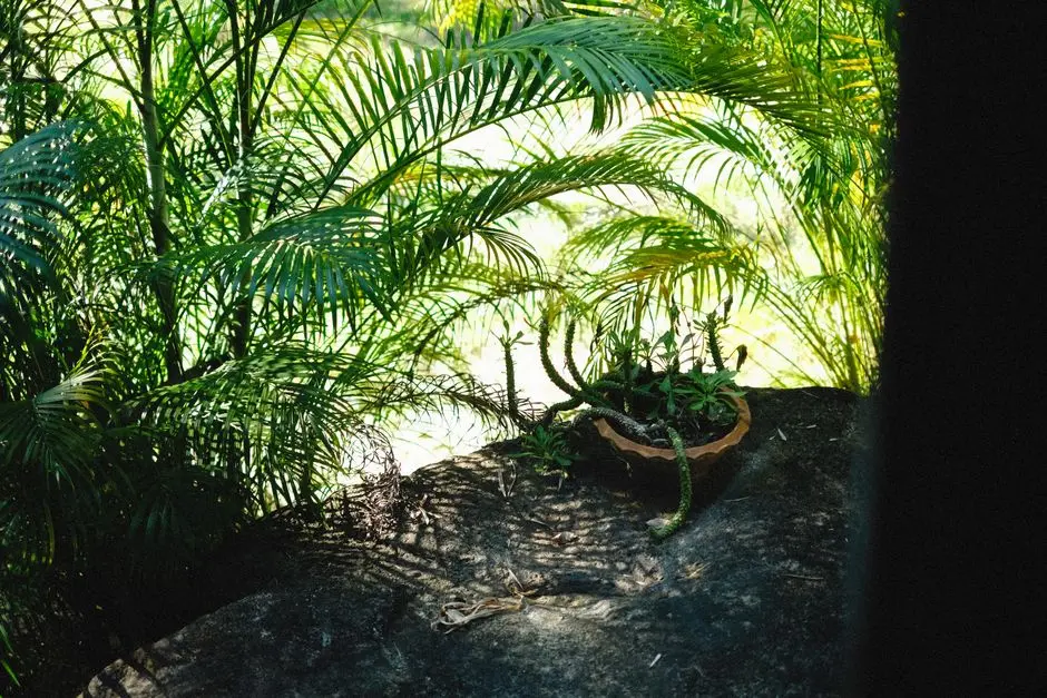 Greens & Outdoors at RAYMOND WEST ONE PARK, Lokmanya Nagar, Thane