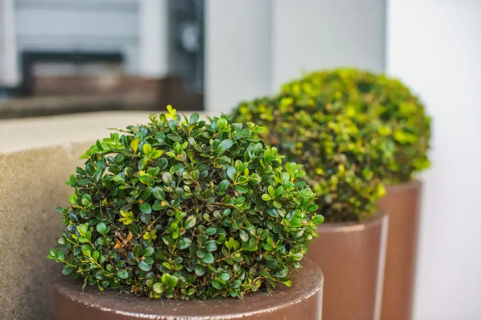 Greens & Outdoors at RAYMOND PAREL SEA-VIEW JDA (8TH MUMBAI JDA), Mumbai